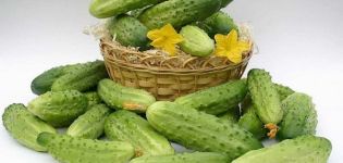 What varieties of cucumbers for open ground are best planted in the Moscow region