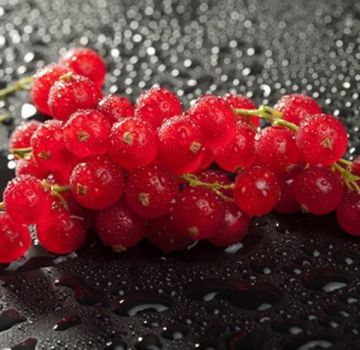 TOP 6 ways to properly freeze red currants for the winter