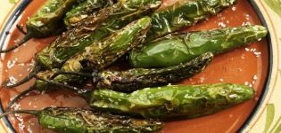 TOP 11 des recettes sur la façon de mariner les piments forts à la maison pour l'hiver