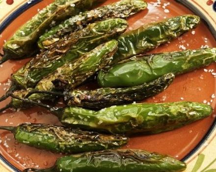 TOP 11 des recettes sur la façon de mariner les piments forts à la maison pour l'hiver