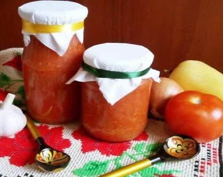 12 recetas para hacer adjika de calabacín para el invierno, te lamerás los dedos