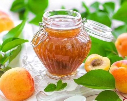 A simple recipe for making apricot jam at home for the winter