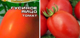 Description de la variété de tomate Oeuf d'oie et ses caractéristiques