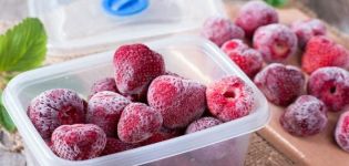 What fruits and berries can be frozen at home for the winter