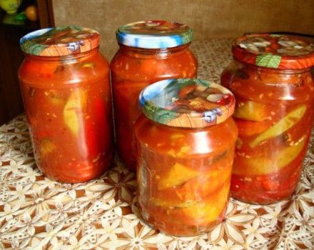 Step-by-step recipe for making hot pepper in tomato for the winter