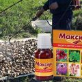 Instructions for the use of fungicide Maxim and how it works