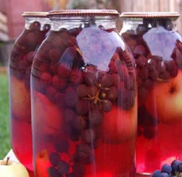 A simple recipe for apple and grape compote for the winter