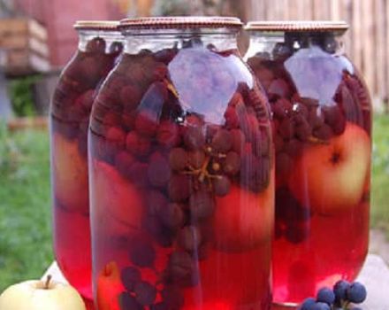 A simple recipe for apple and grape compote for the winter