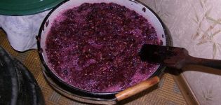 Una receta simple paso a paso para hacer vino fresco de uva azul en casa