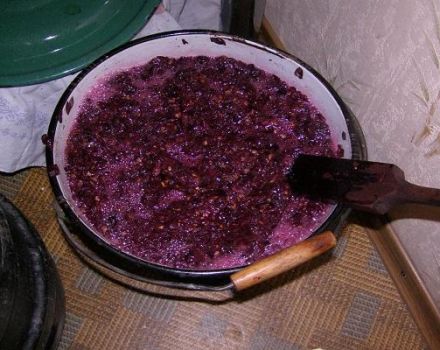 A simple step-by-step recipe for making fresh blue grape wine at home