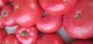 Caractéristiques et description de la variété de tomate Framboise géante, son rendement