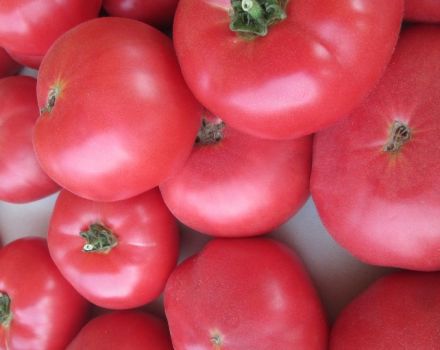 Caractéristiques et description de la variété de tomate Framboise géante, son rendement