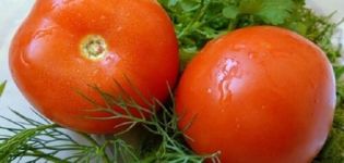 Descripción de la variedad de tomate Maksimka, cultivo y cuidado.