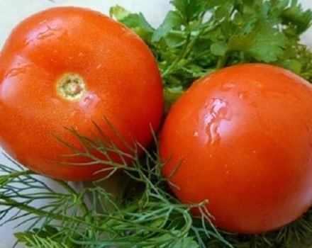 Description of the tomato variety Maksimka, cultivation and care