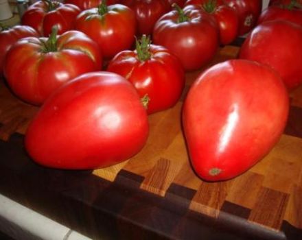 Characteristics and description of the Mazarin tomato variety, its yield