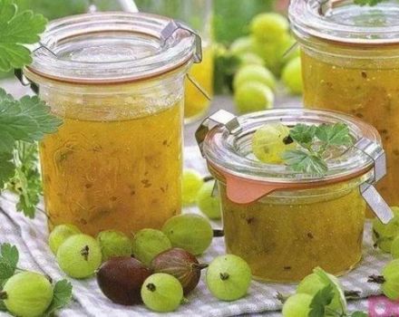 TOP 6 deliciosas recetas de mermelada de grosella con manzanas para el invierno