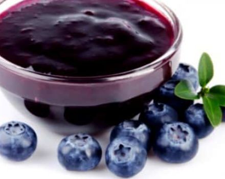 Resipi ringkas untuk membuat jem blueberry untuk musim sejuk