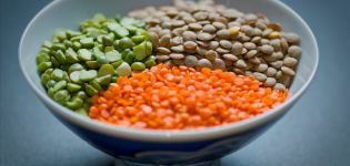 Why lentils are useful and harmful in losing weight, which one to choose, diet recipes