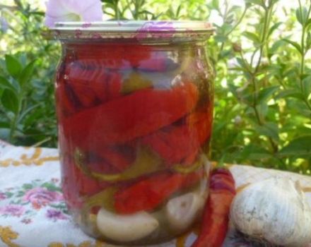 TOP 10 recetas simples para hacer pimientos picantes en escabeche para el invierno