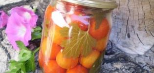 15 easy step-by-step recipes for pickling tomatoes for the winter in jars