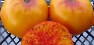 Penerangan dan Penanaman Varieti Tomato Virginia