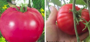 Varieties of tomato varieties Masterpiece, its description and yield