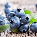 What can be made from blueberries for the winter, how to freeze and store, recipes