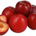 Descripción y características de la variedad de ciruela Red Ball, plantación y cuidado.