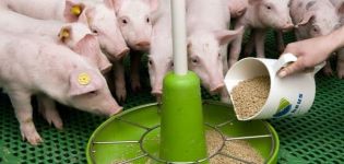 What is the compound feed for piglets and pigs made of, types and the best producers