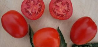 Penerangan mengenai varieti tomato Indio dan ciri-cirinya