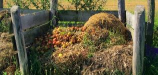 Wat is humus, waaruit bestaat het en hoe kook je het thuis?