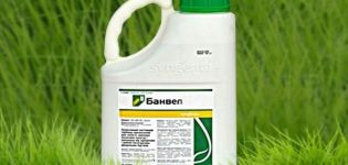 Instructions for use and the principle of operation of Banvel herbicide, consumption rates