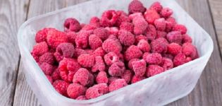 Cómo congelar correctamente las frambuesas para el invierno en el refrigerador de casa.