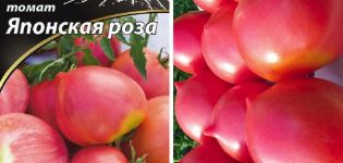 Description de la variété de tomate rose japonaise et de ses caractéristiques