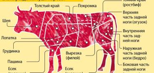 Karvių kūno dalių pavadinimai ir skerdenos pjaustymo schema, mėsos laikymas