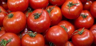 Ciri dan keterangan mengenai varieti tomato Torbay, hasilnya