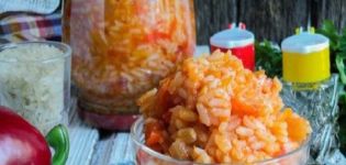 12 recetas paso a paso para hacer un refrigerio de invierno con arroz en casa