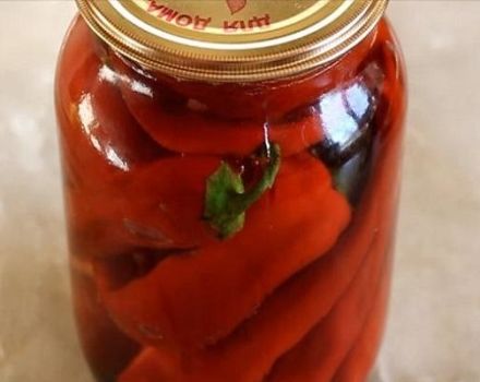 TOP 10 recetas para hacer condimentos de pimiento picante para el invierno