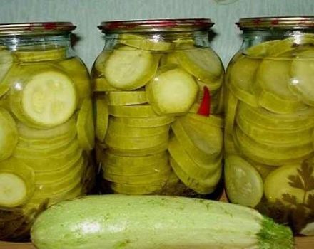 4 resipi zucchini acar terbaik sebagai timun untuk musim sejuk