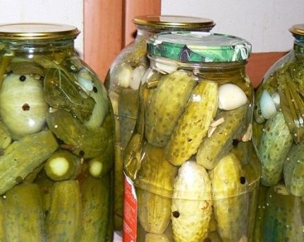 A step-by-step recipe for pickling cucumbers in a village for the winter in jars