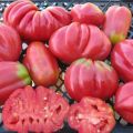 Characteristics and description of the tomato variety Pink fig, its yield