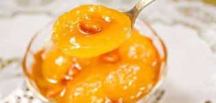 Recette pour faire de la confiture d'abricots aux amandes pour l'hiver