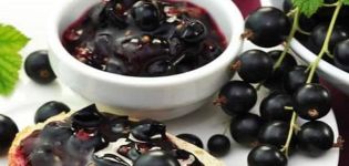 TOP 7 des recettes de confiture de cassis cinq minutes pour l'hiver