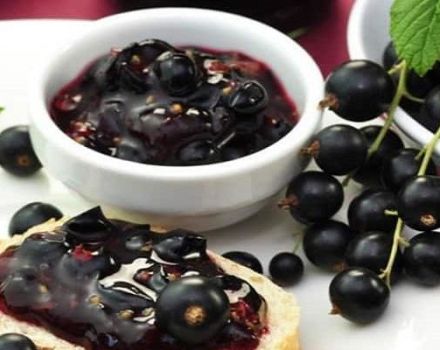 TOP 7 recipes for blackcurrant five-minute jam for the winter