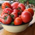 Cara memilih varieti tomato terbaik untuk pengambilan dan pengawetan