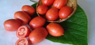 Description de la variété de tomates Salut, caractéristiques de culture et d'entretien