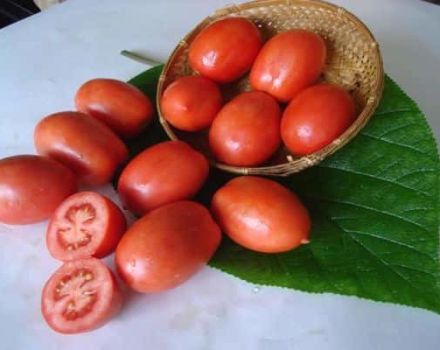 Description de la variété de tomates Salut, caractéristiques de culture et d'entretien