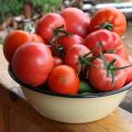 Caractéristiques et description de la variété de tomate Azhur f1, son rendement