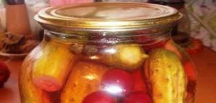 The best recipe for making pickled cucumbers with cherries for the winter