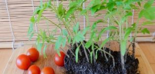 Characteristics and description of the tomato variety Eupator, its yield